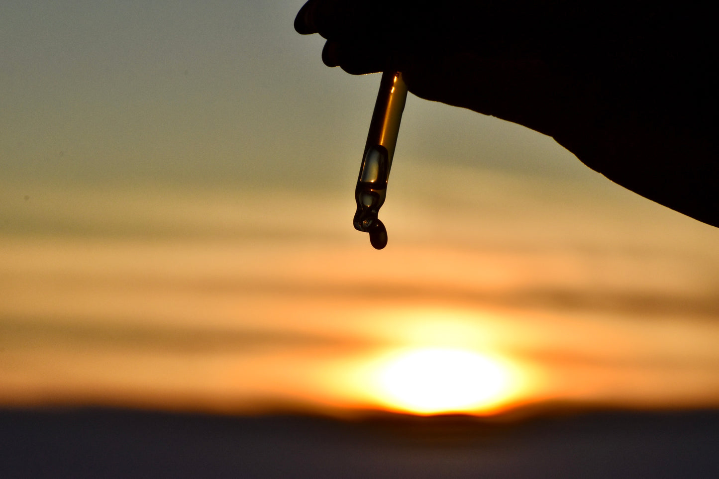 BURN & BREW (Storm Stayed)