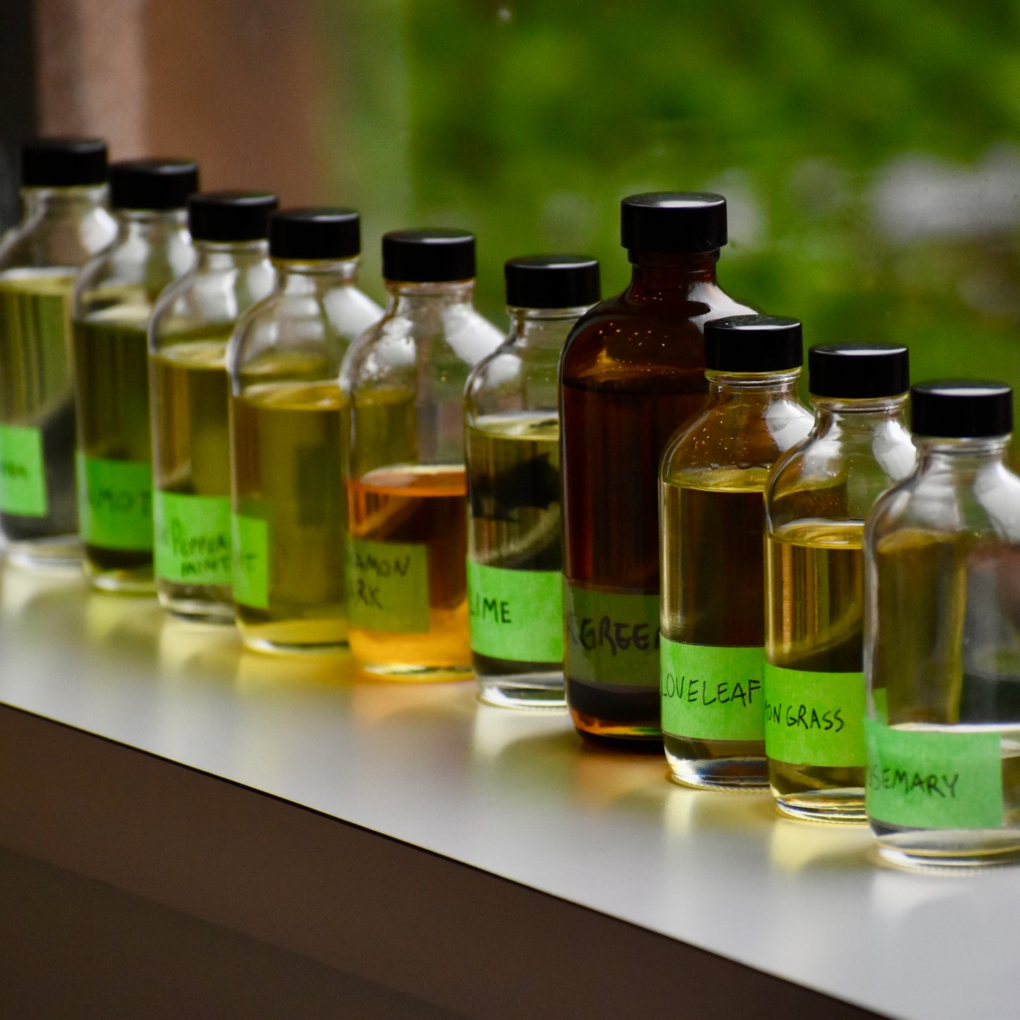 BURN & BREW (Storm Stayed)