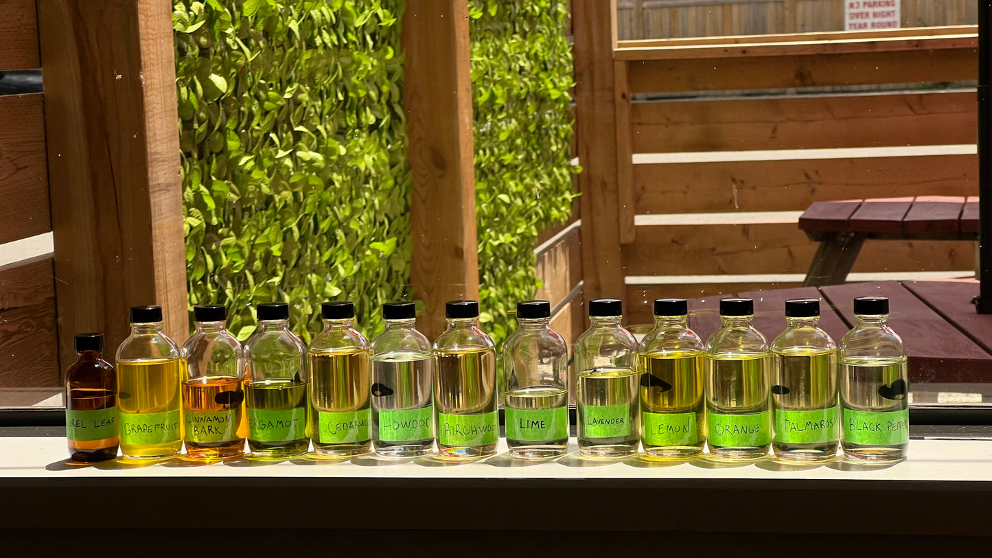 BURN & BREW (Storm Stayed)