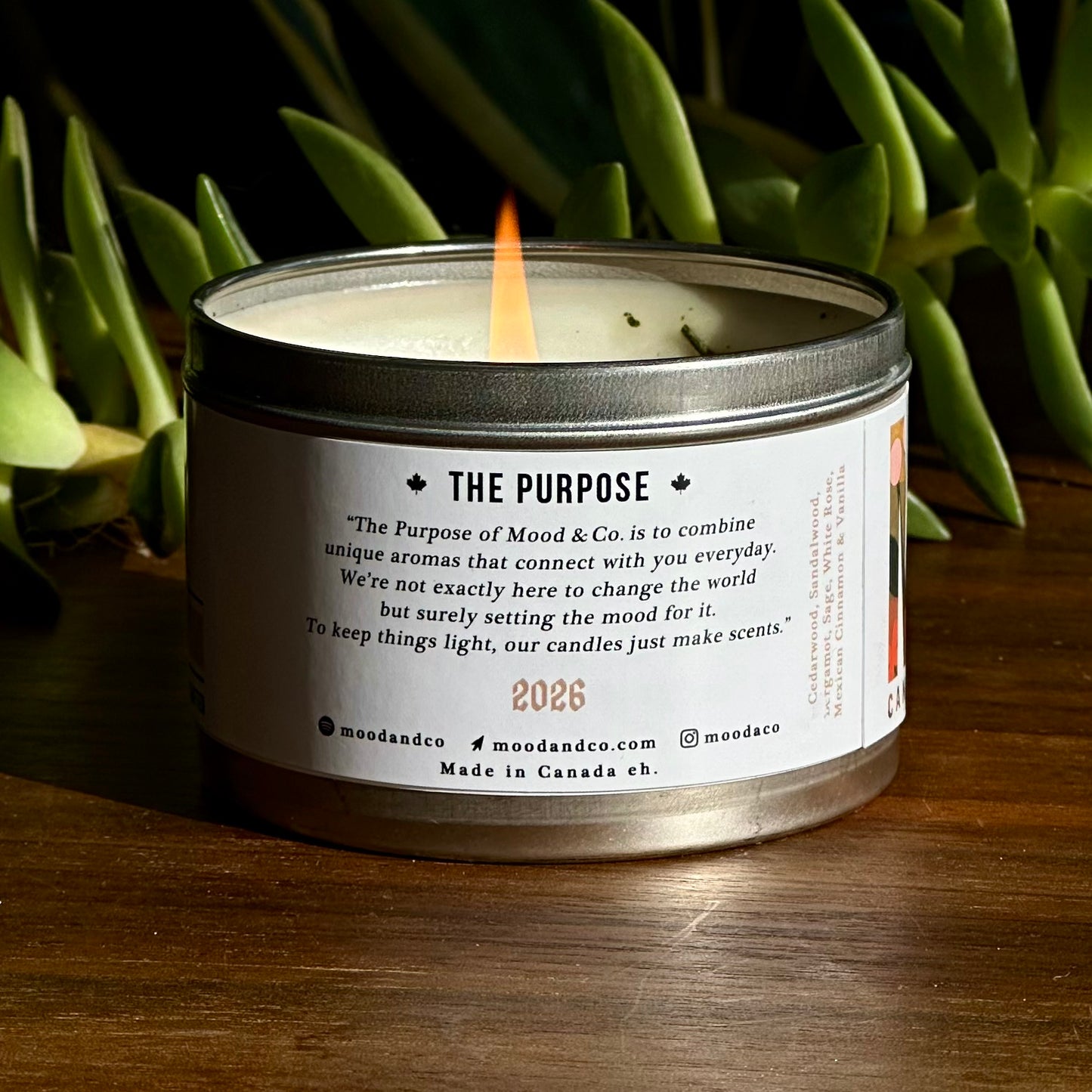 Hotter than Ever (2026)