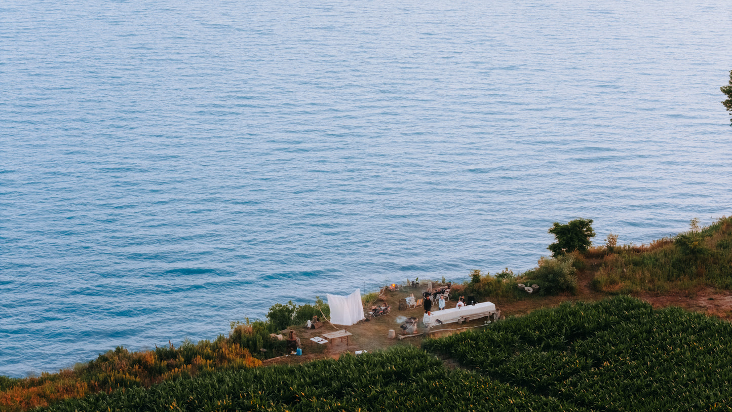 MOOD & COAST