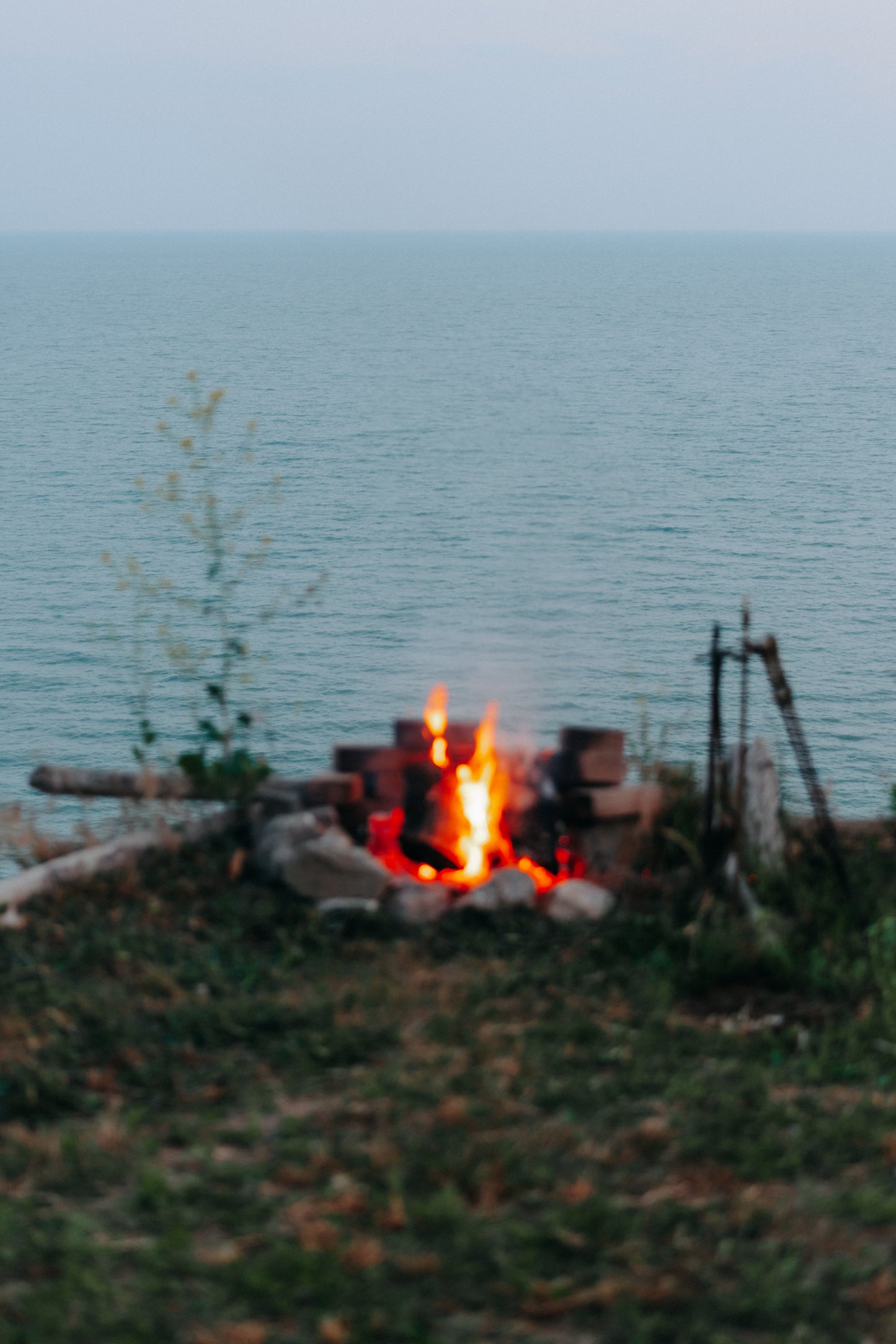 MOOD & COAST