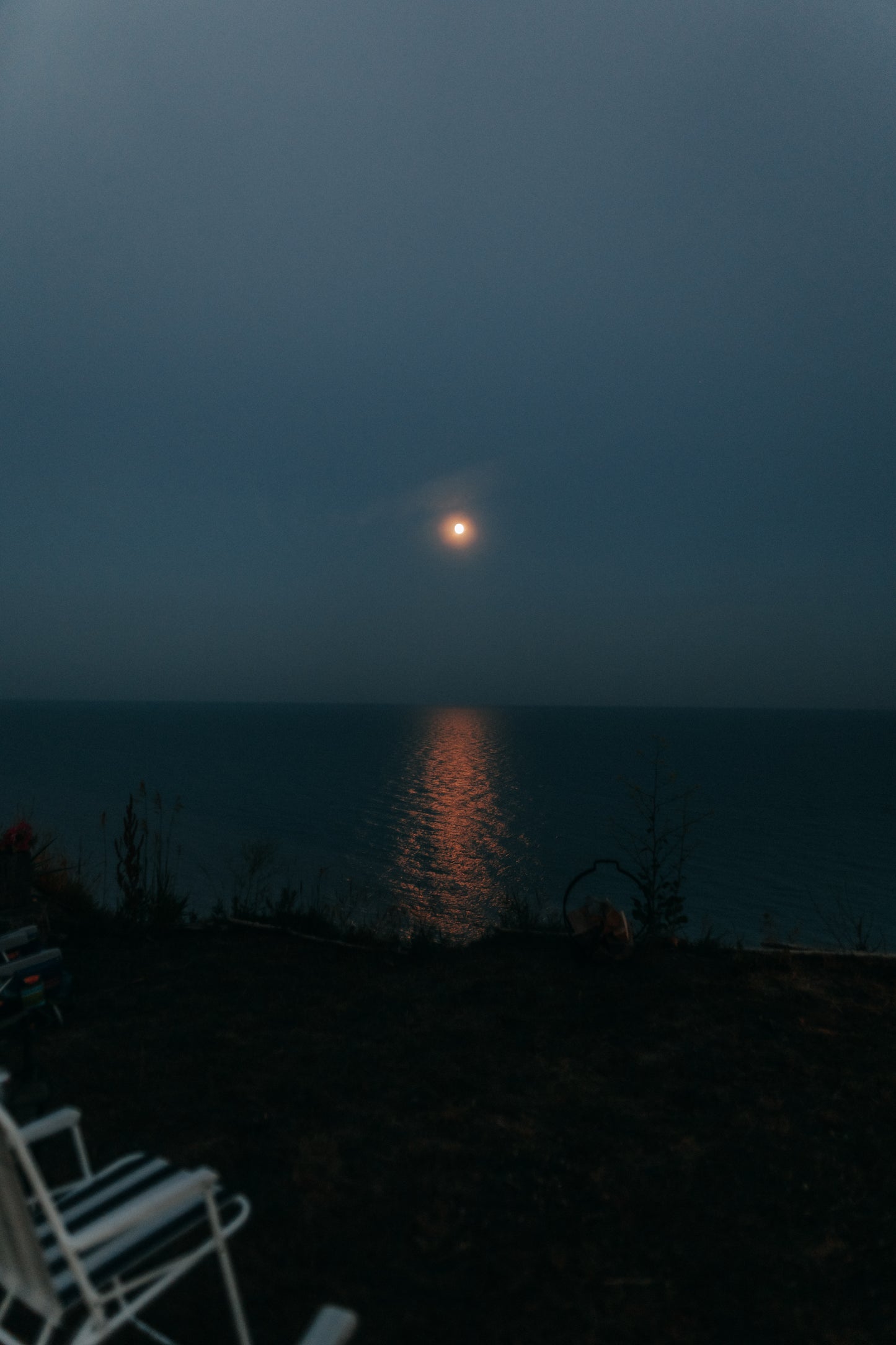 MOOD & COAST