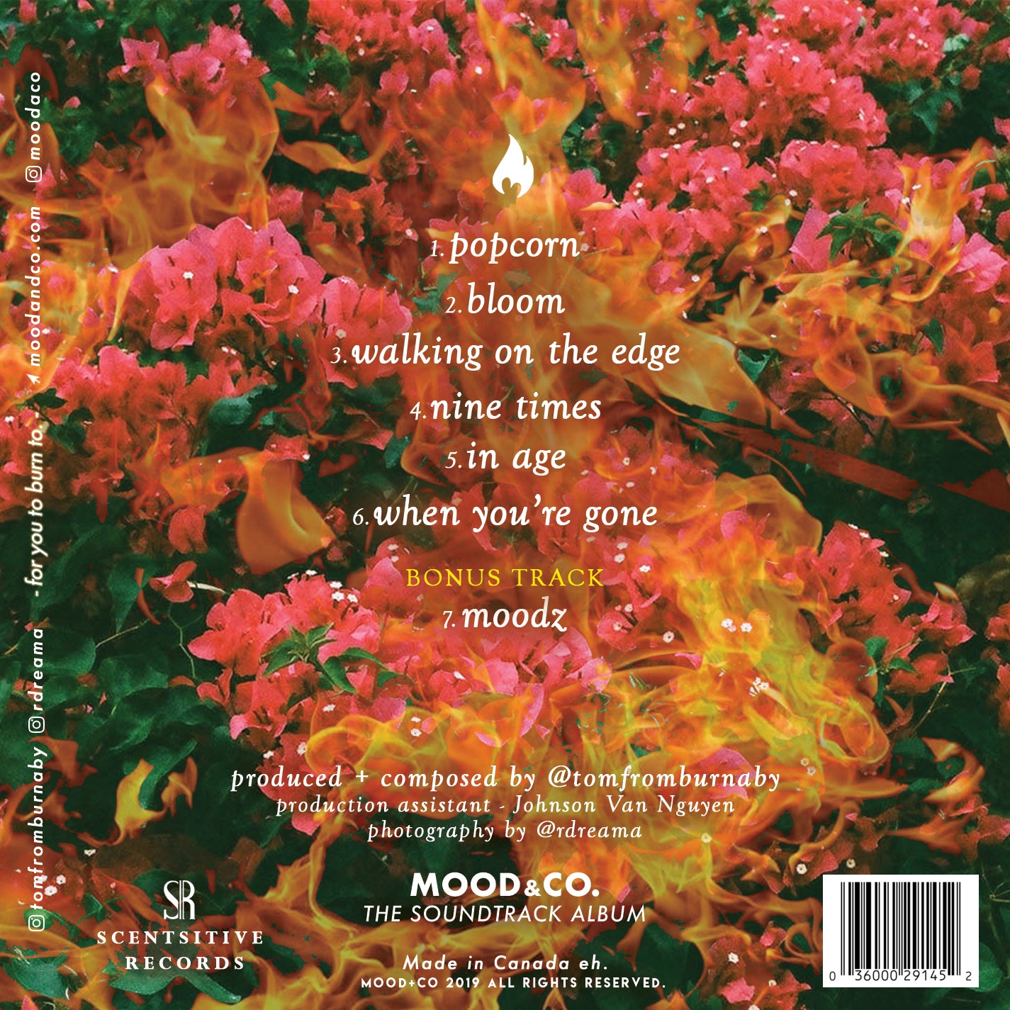 Scents to Sounds