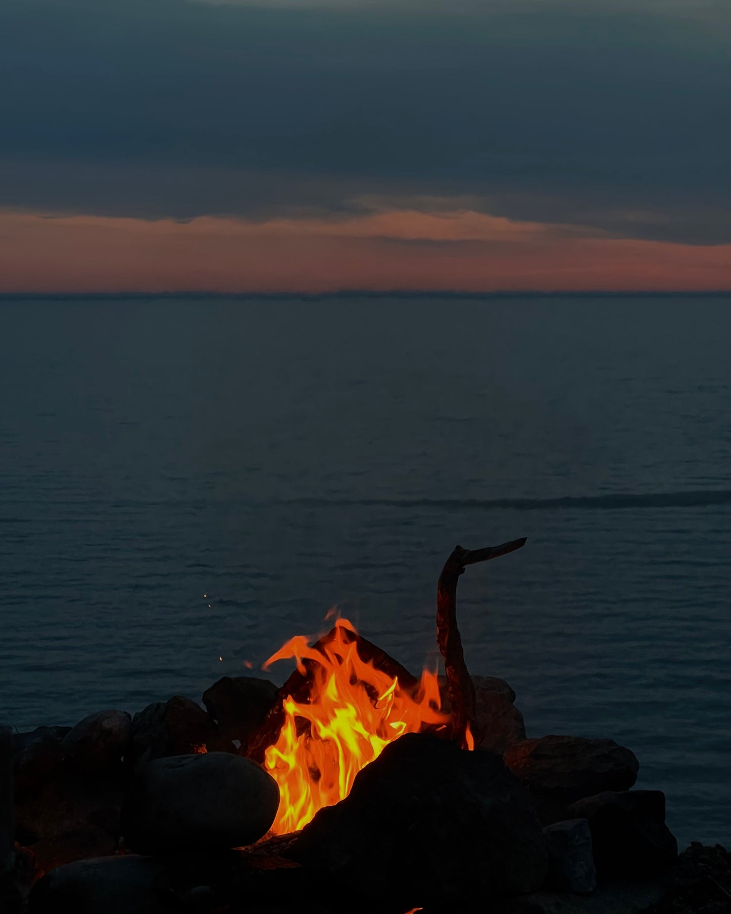 MOOD & COAST