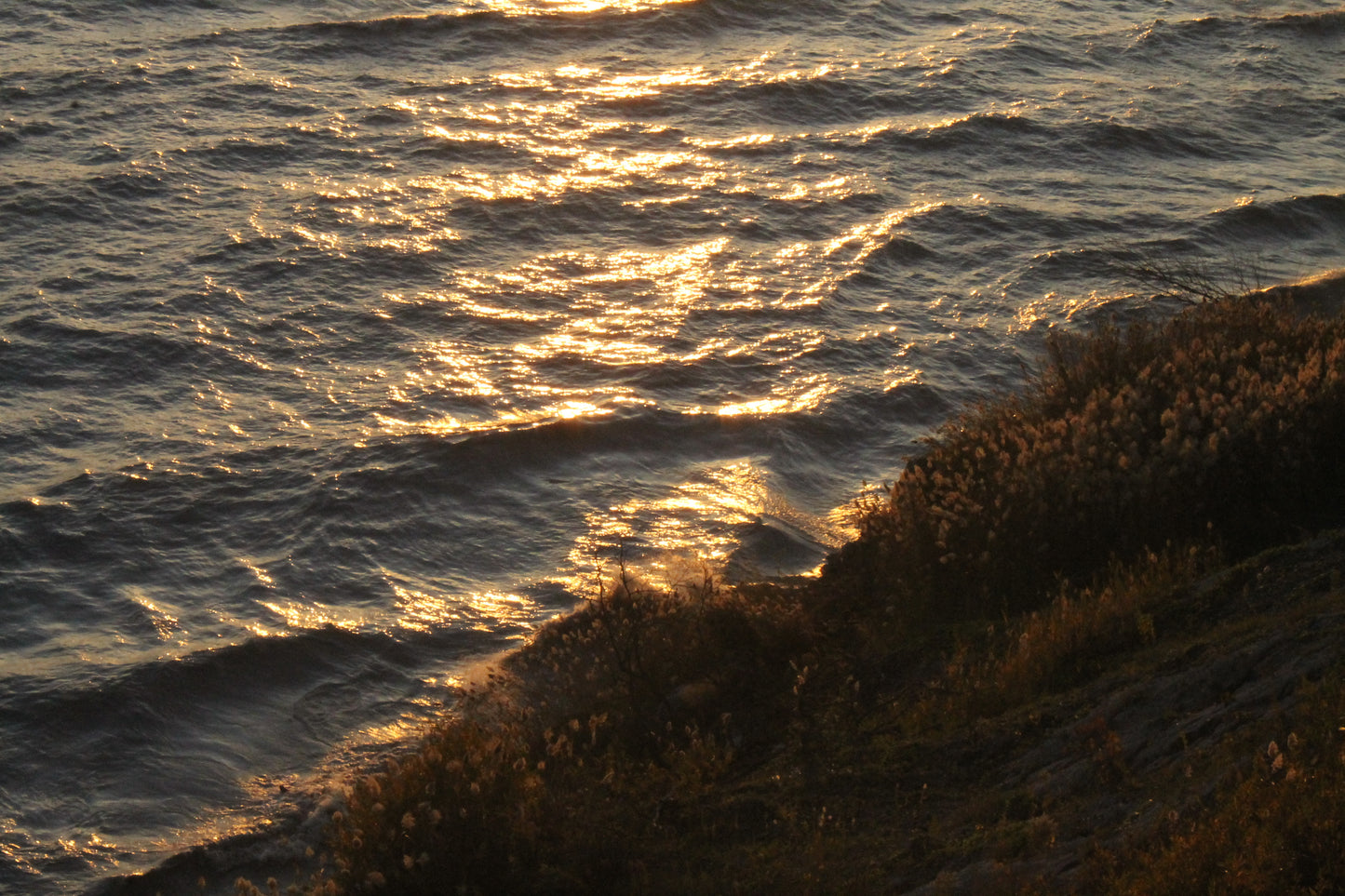 MOOD & COAST