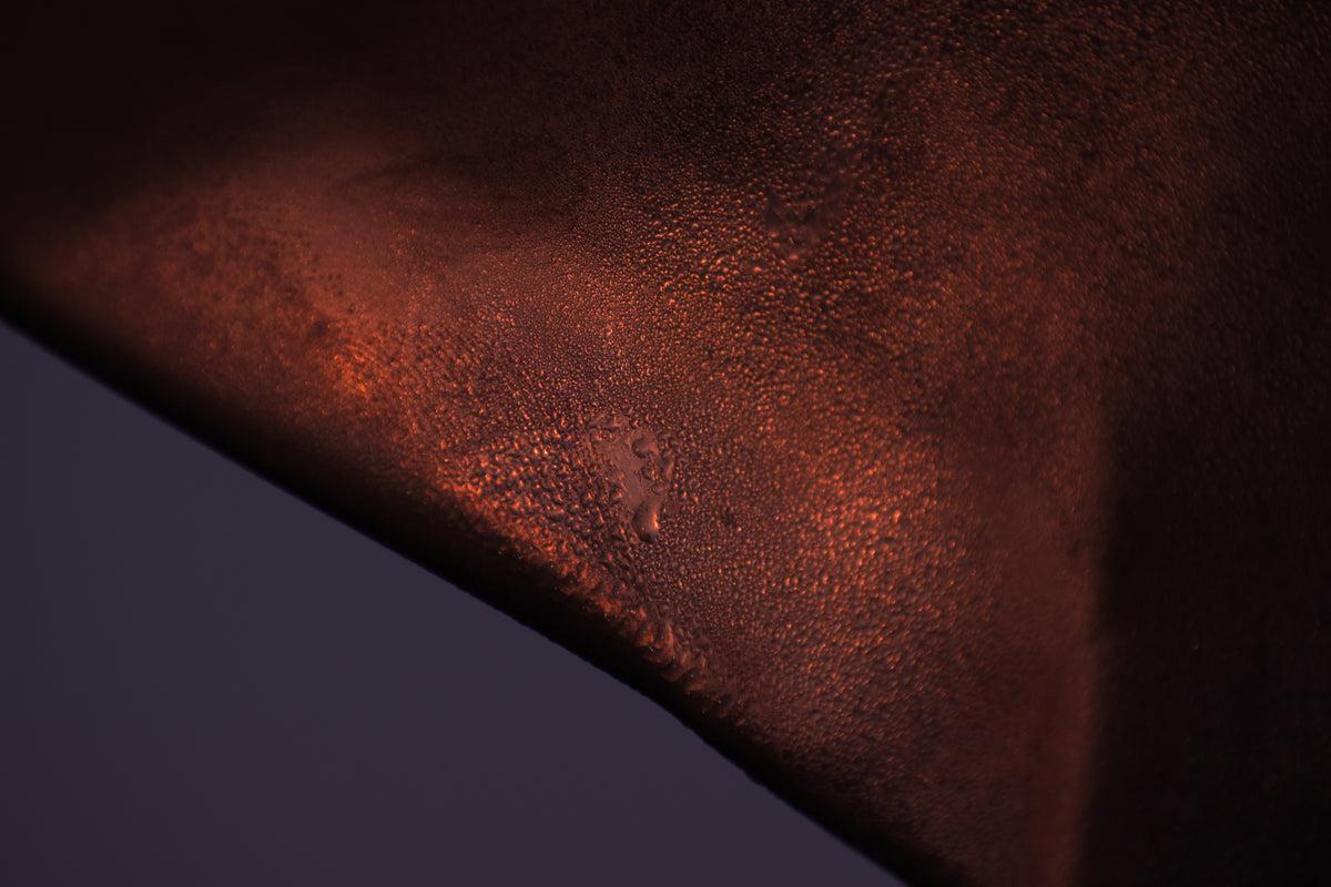 THE CHAMPAGNE PETAL