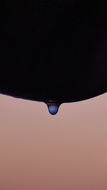 THE CHAMPAGNE PETAL