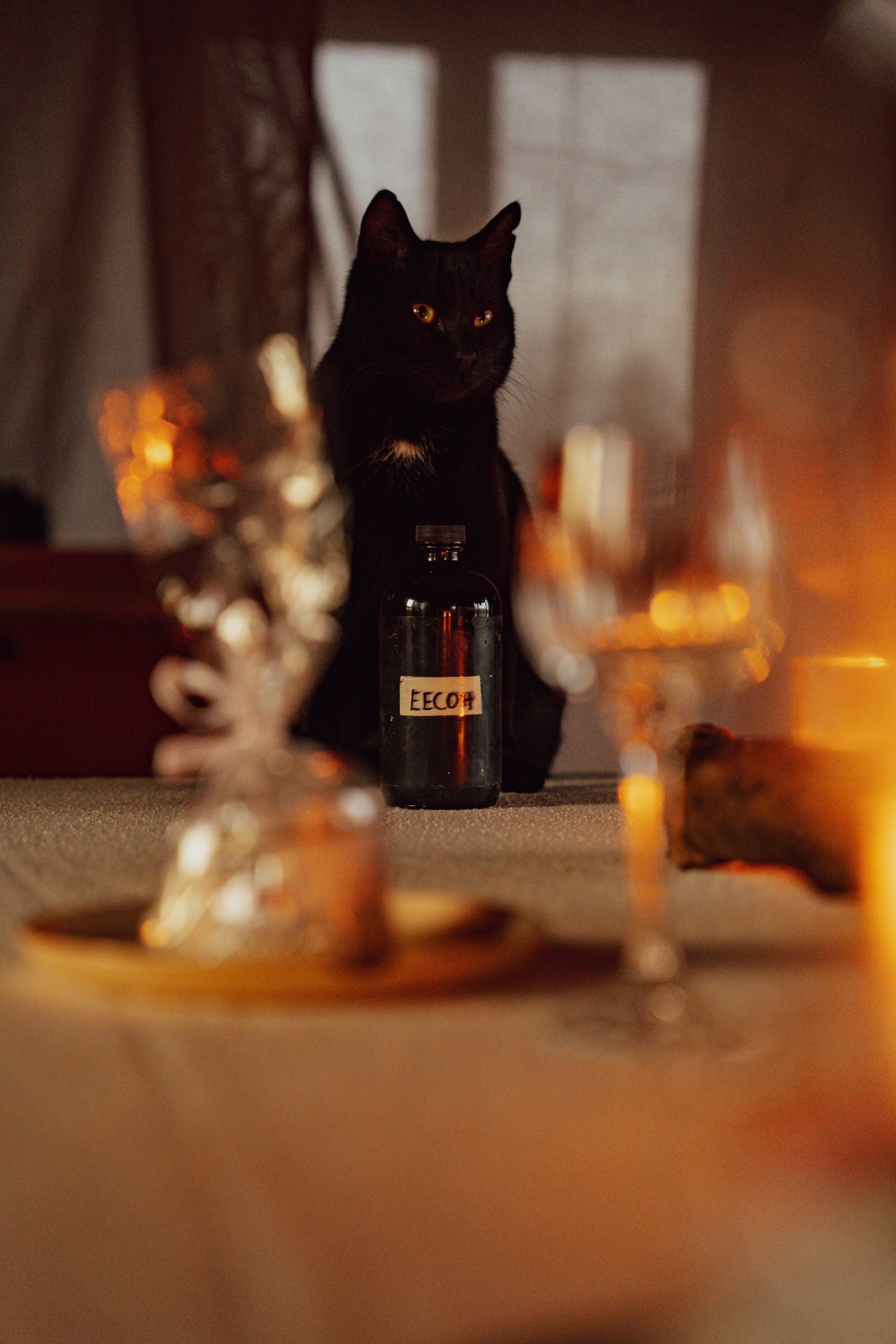 CANDLE WORKSHOP