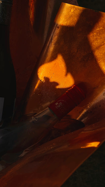 THE CHAMPAGNE PETAL