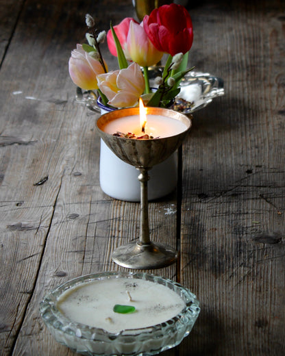 BURN & BREW (Backroads)