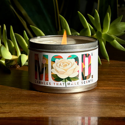 Hotter than Ever (2026)