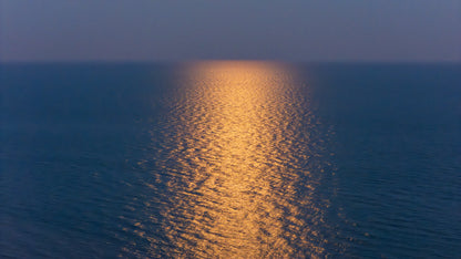 MOOD & COAST