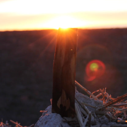 Palo Santo (Holy Mood)